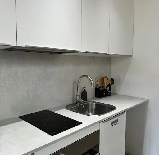 Appartement Nice-centre A 300m De La Promenade Des *